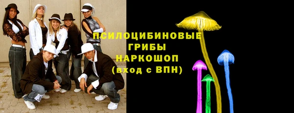 МДПВ Гусь-Хрустальный