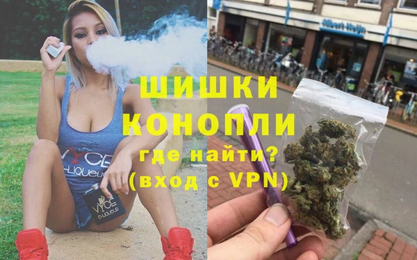дурь Гусиноозёрск