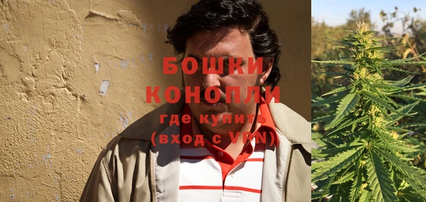 не бодяженный Гусев