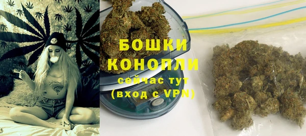 не бодяженный Гусев