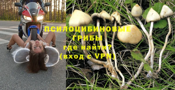 дурь Гусиноозёрск