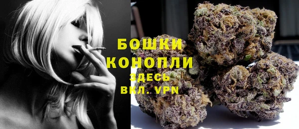 дурь Гусиноозёрск