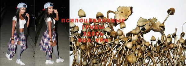 МДПВ Гусь-Хрустальный