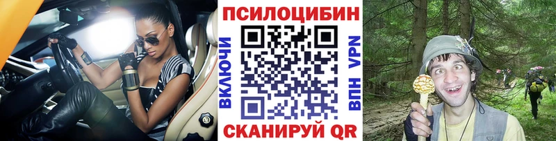 shop как зайти  Пикалёво  Галлюциногенные грибы MAGIC MUSHROOMS 